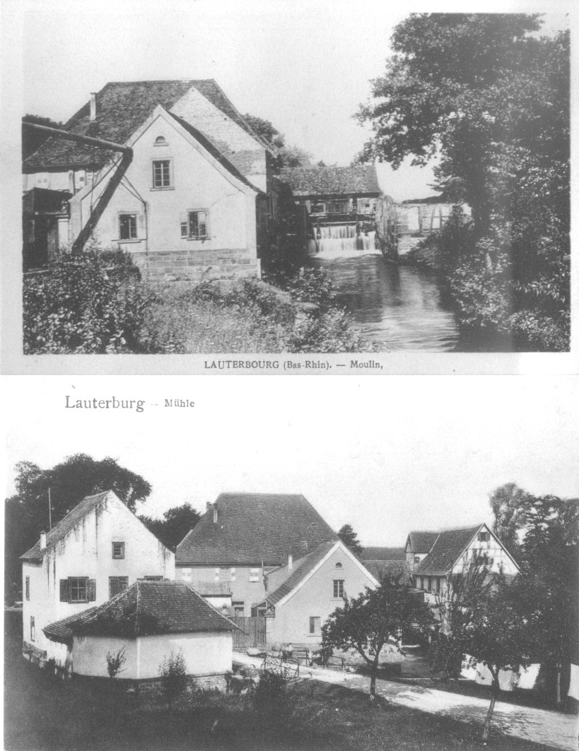 Lauterburg